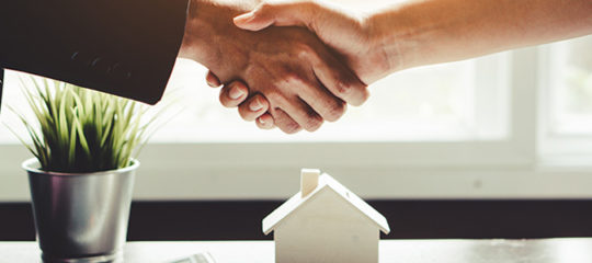 logement neuf